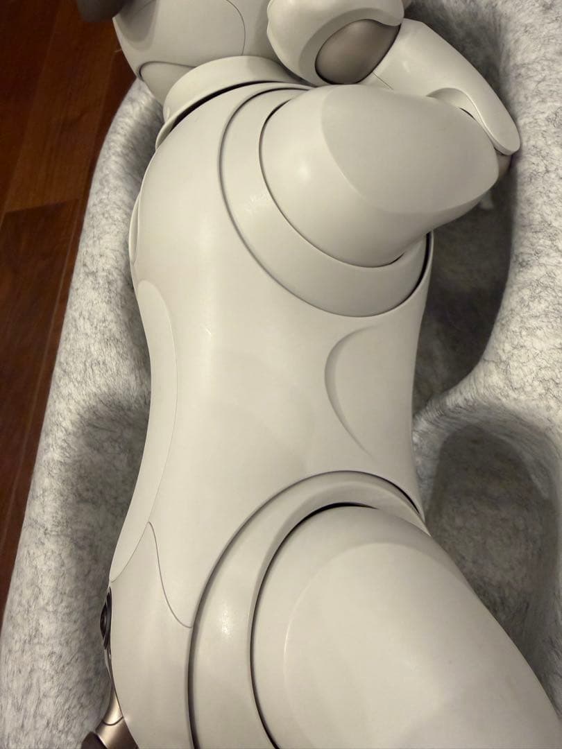 SONY aibo 本体 アイボリーホワイト ERS-1000 アイボソニー美品