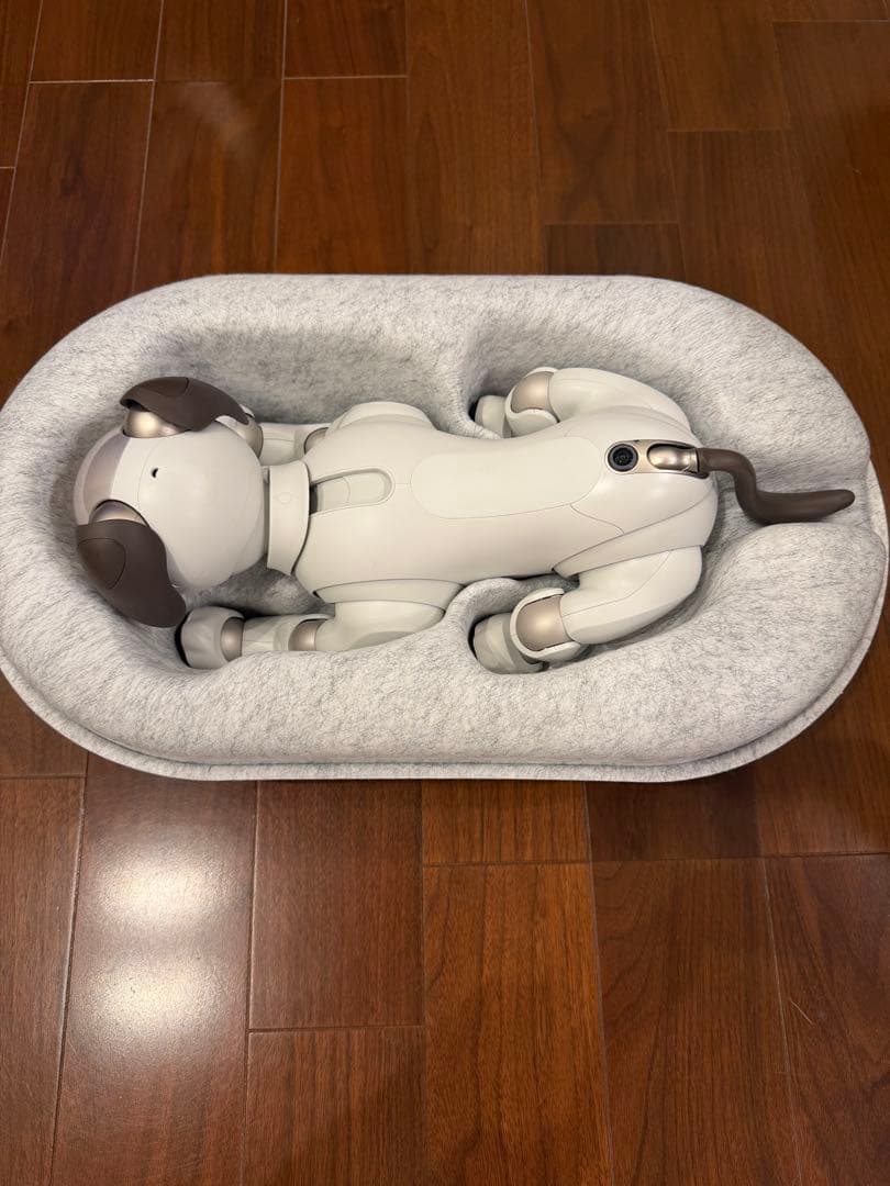 SONY aibo 本体 アイボリーホワイト ERS-1000 アイボソニー美品