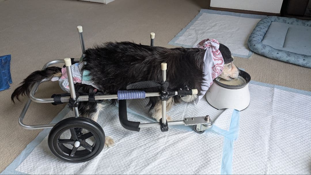 小型犬用4輪歩行機