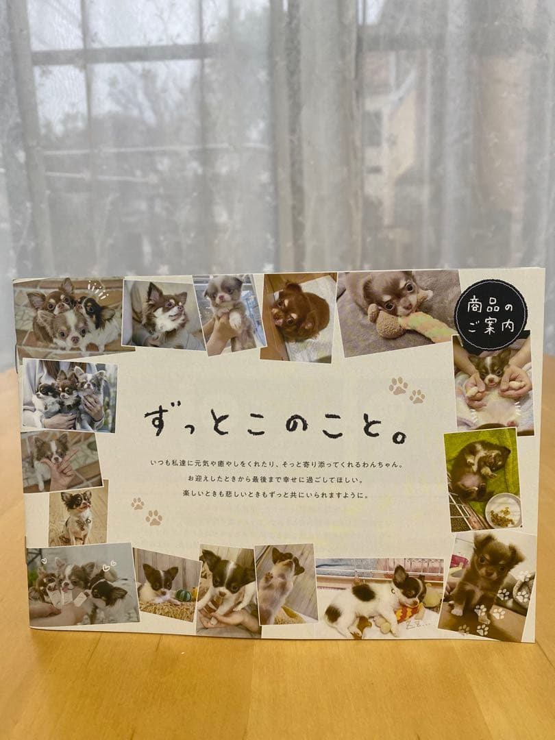 ドッグフード✿シニアのためのこのこのごはん(1kg✖️3袋)