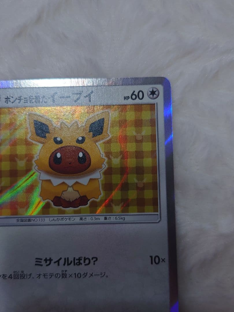 ポンチョを着たイーブイ サンダース