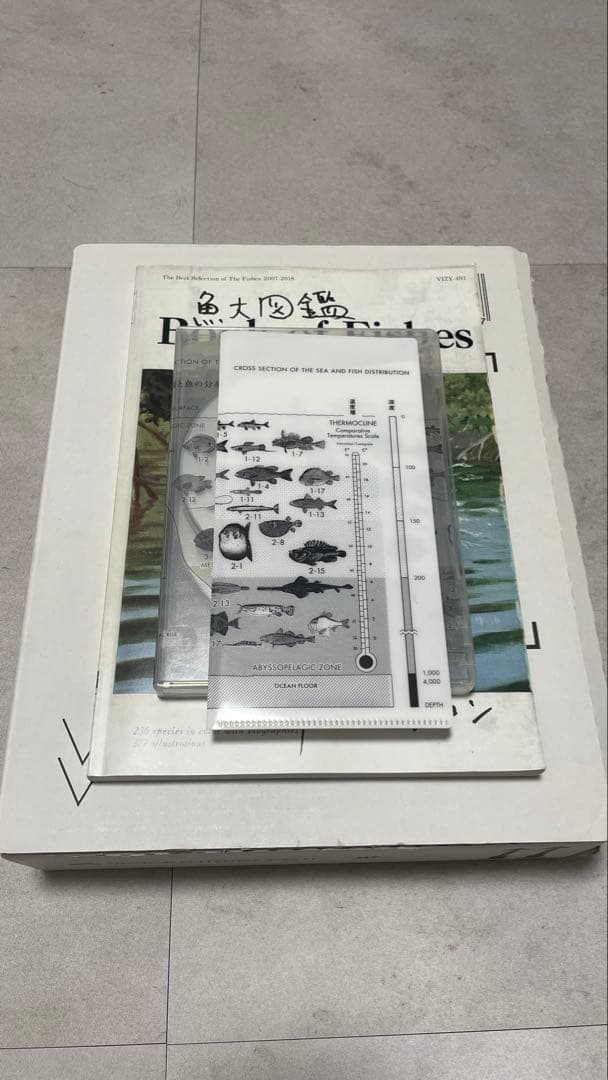 サカナクション CDセット 完全生産限定盤