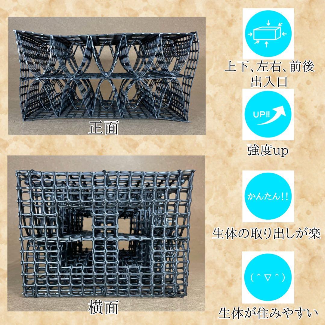 M(フル)(レ)