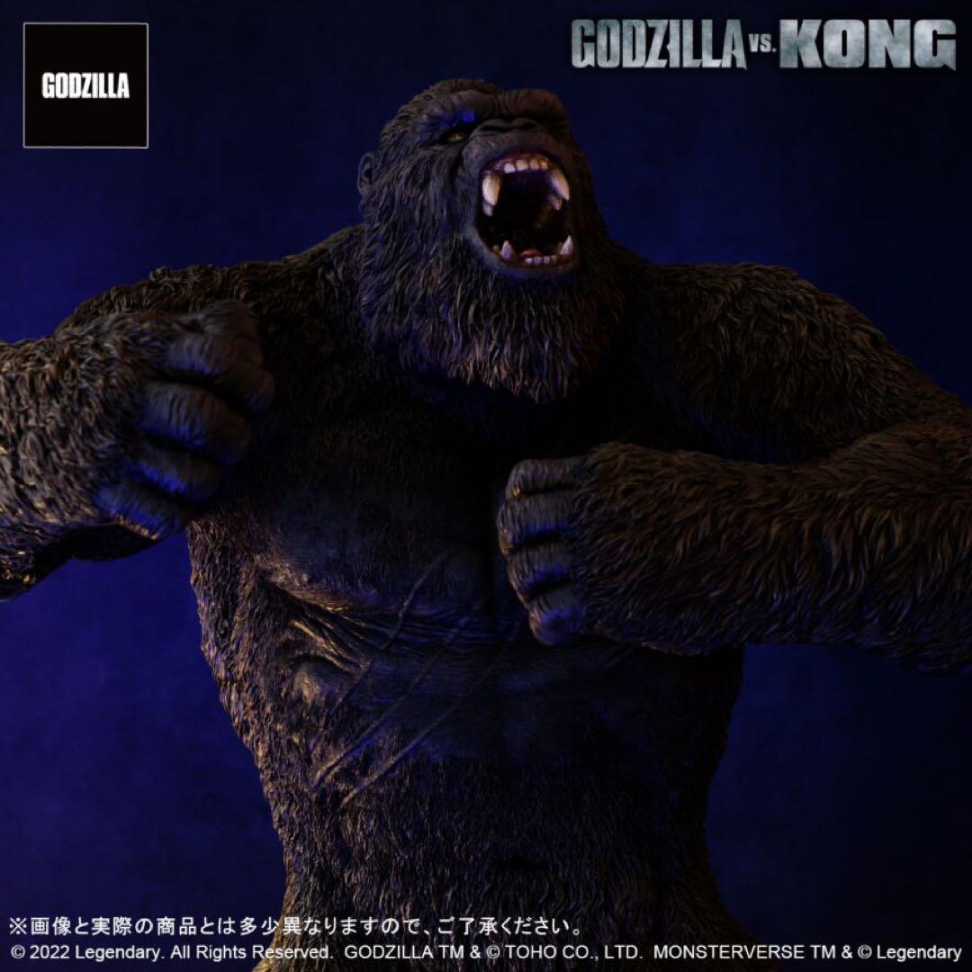 普*々様 KONG フィギュア ゴジラ vs コング (2021)