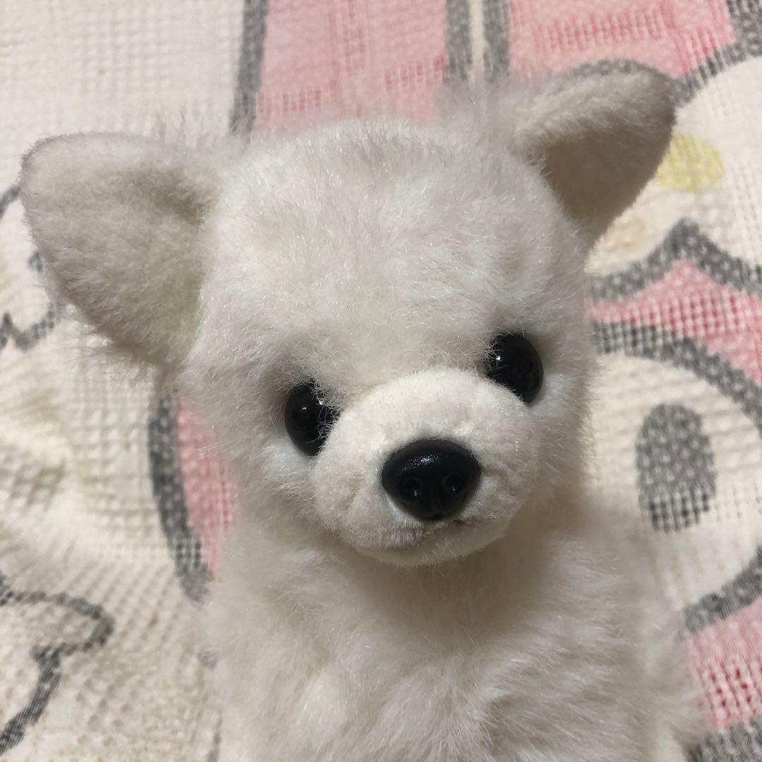 レトロ　チワワ　ぬいぐるみ　中古品　メーカー名不明