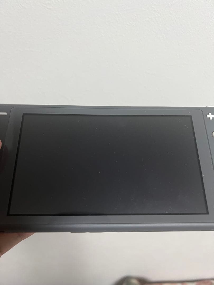 Nintendo Switch Lite グレー本体 箱付きゲームソフト2本付き
