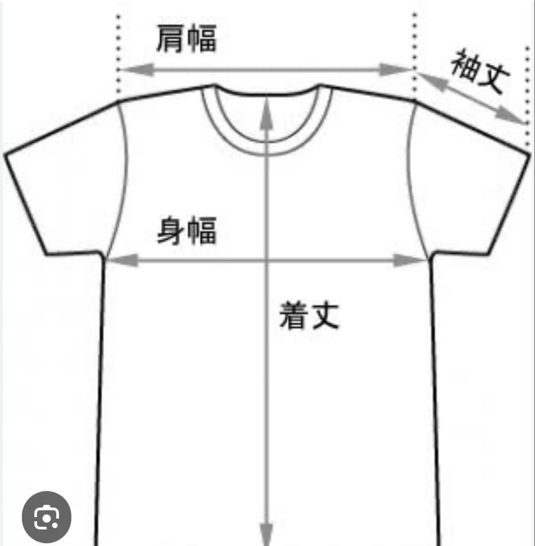90s VAN HALEN U.S. TOUR Tシャツ　※タグなし