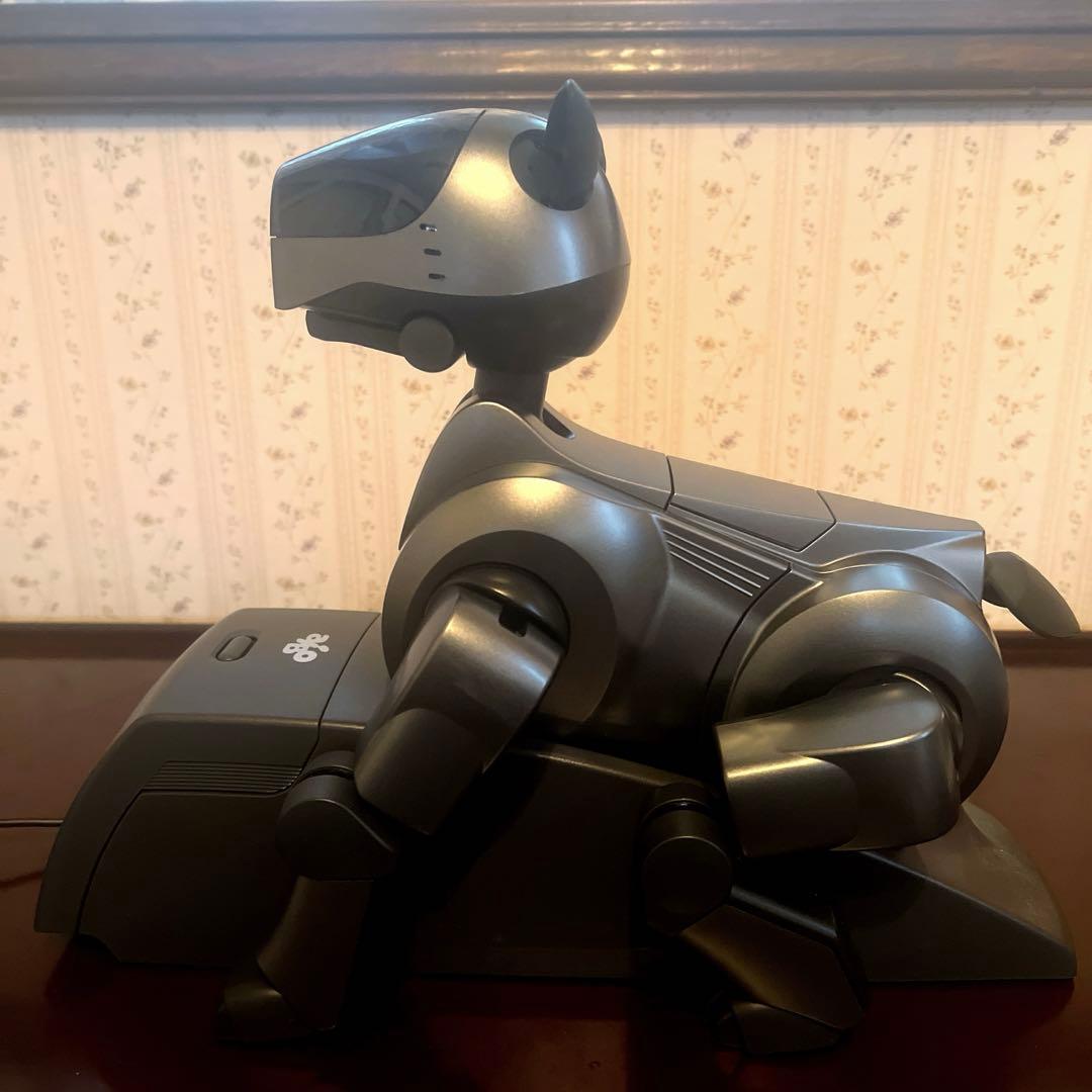ソニーSONY エンターテイメントロボットアイボAIBO ERS-210ブラック