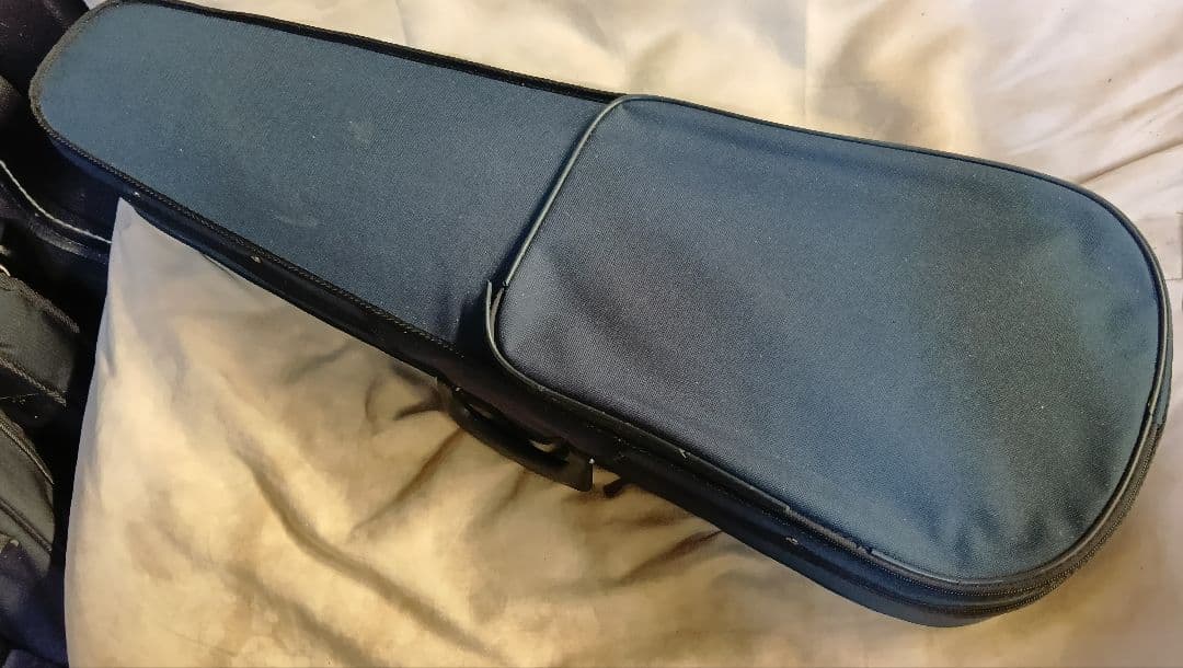 弦楽器 Alexander Violins VL250 4/4 Los Angeles