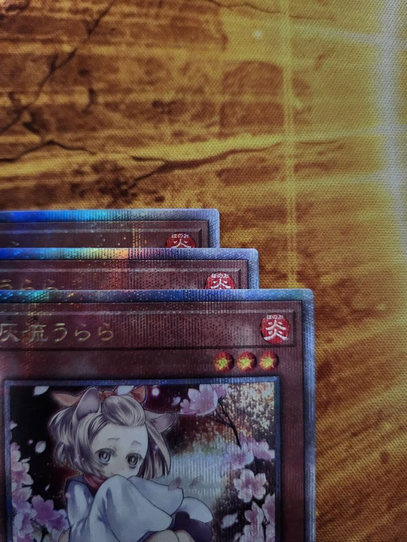 遊戯王　灰流うらら　絵違い　クオシク　25thシークレット　3枚