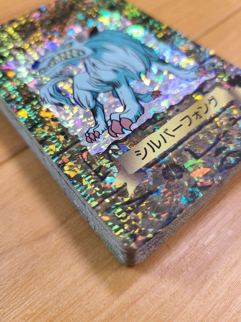 遊戯王　トランプ　コレクション　シルバーフォング