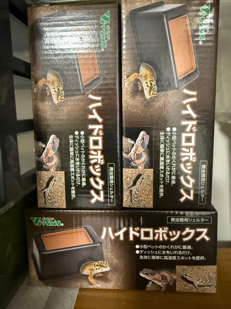 ハイドロボックス レプタイルボックス