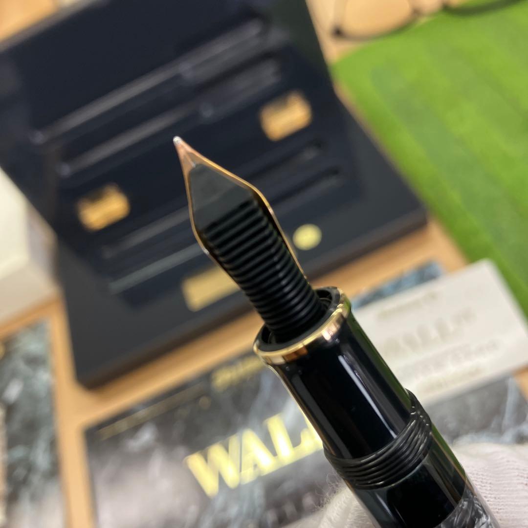 ペリカン Pelikan Wall Street 限定版 万年筆ボールペンセット