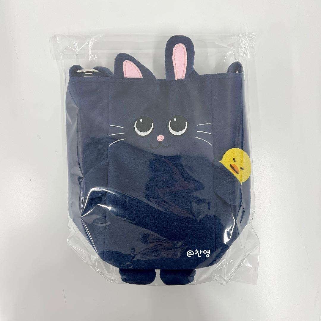 RIIZE 東京ドーム ファンライトバッグ うちわホルダー ウォンビン