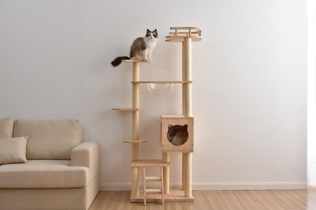 キャットタワー 透明宇宙船 頑丈 据え置き おしゃれ キャットタワー 木製