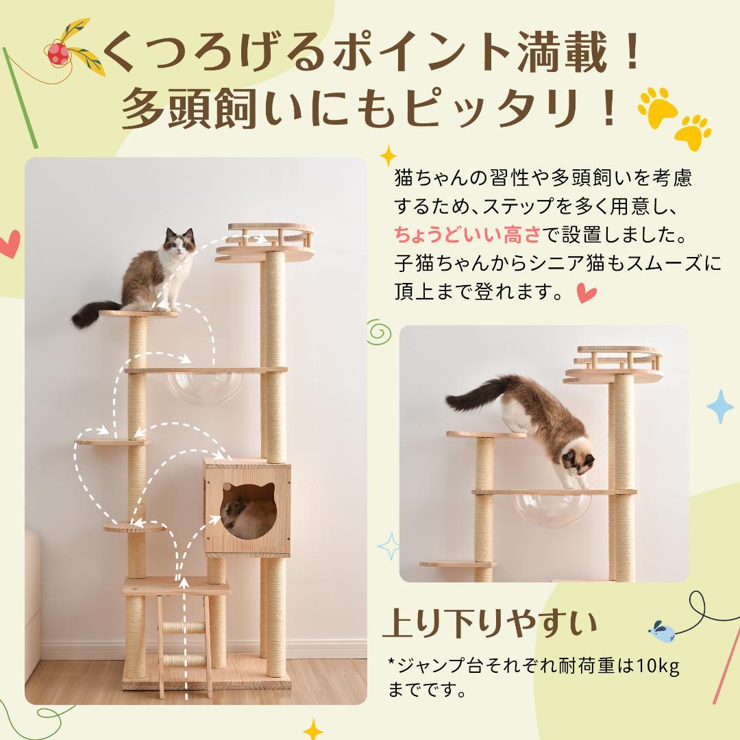 キャットタワー 透明宇宙船 頑丈 据え置き おしゃれ キャットタワー 木製