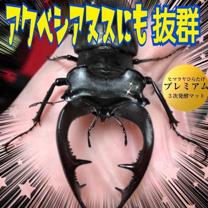 ミヤマクワガタ、ノコギリ幼虫に抜群！800mlボトル入プレミアム発酵マット20本