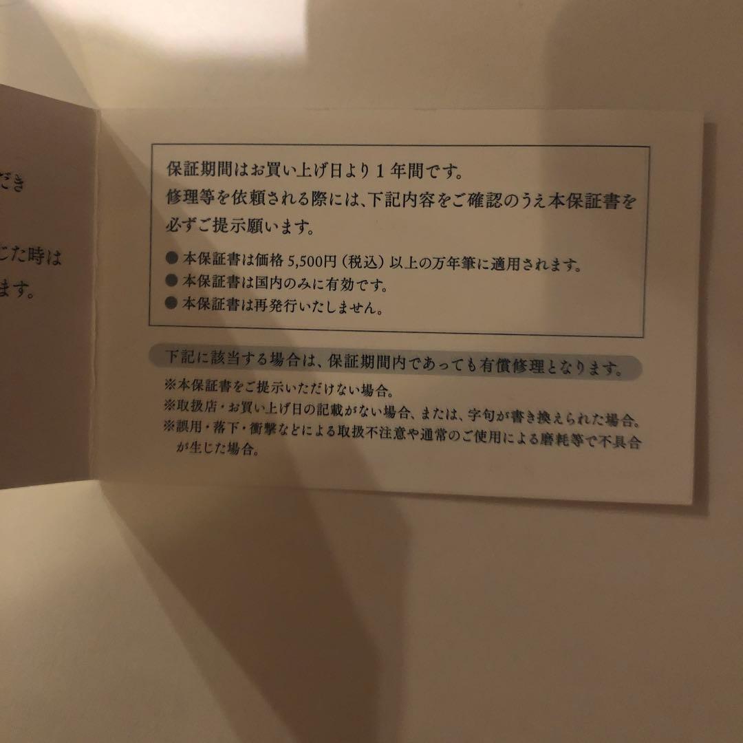 セーラー万年筆 万年筆 プロフィットライト ゴールドトリム シャイニングブルー