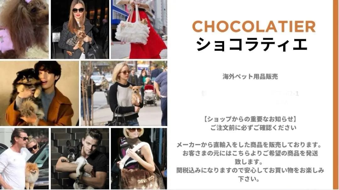 WOOFLINK(韓国ブランド)セレブ犬用キャリーバッグ 黒 送料無料