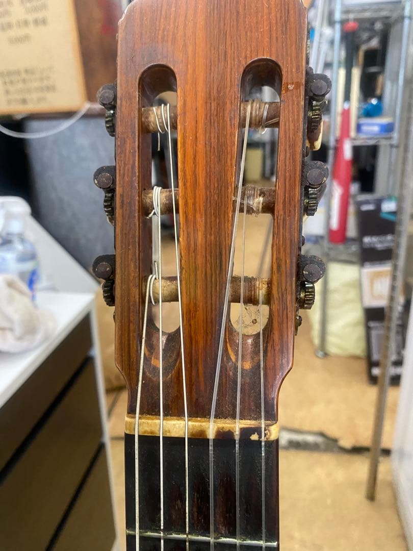 アストリアス　 アコースティックギター　STANDARD 現状