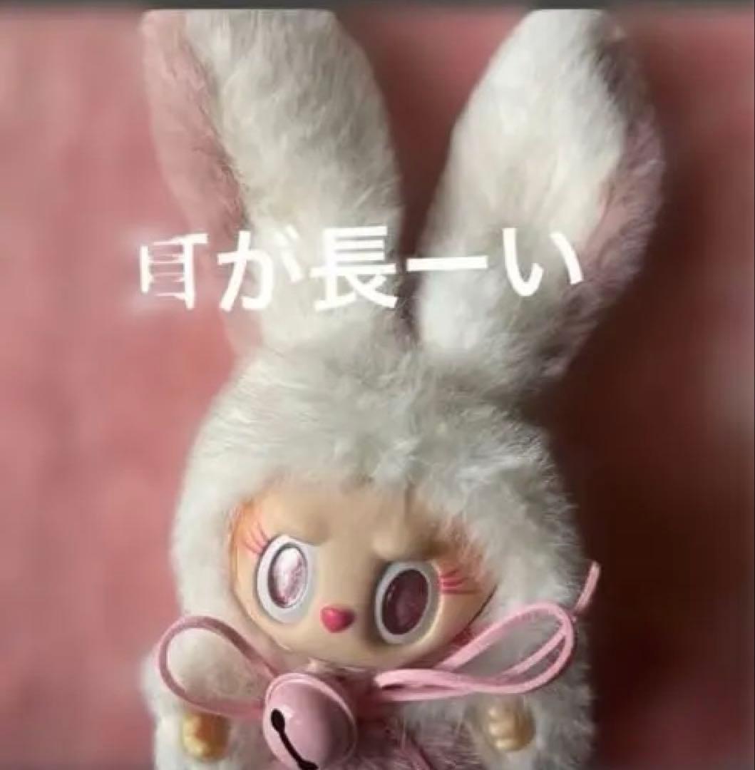 超可愛いうさぎらぶぶ