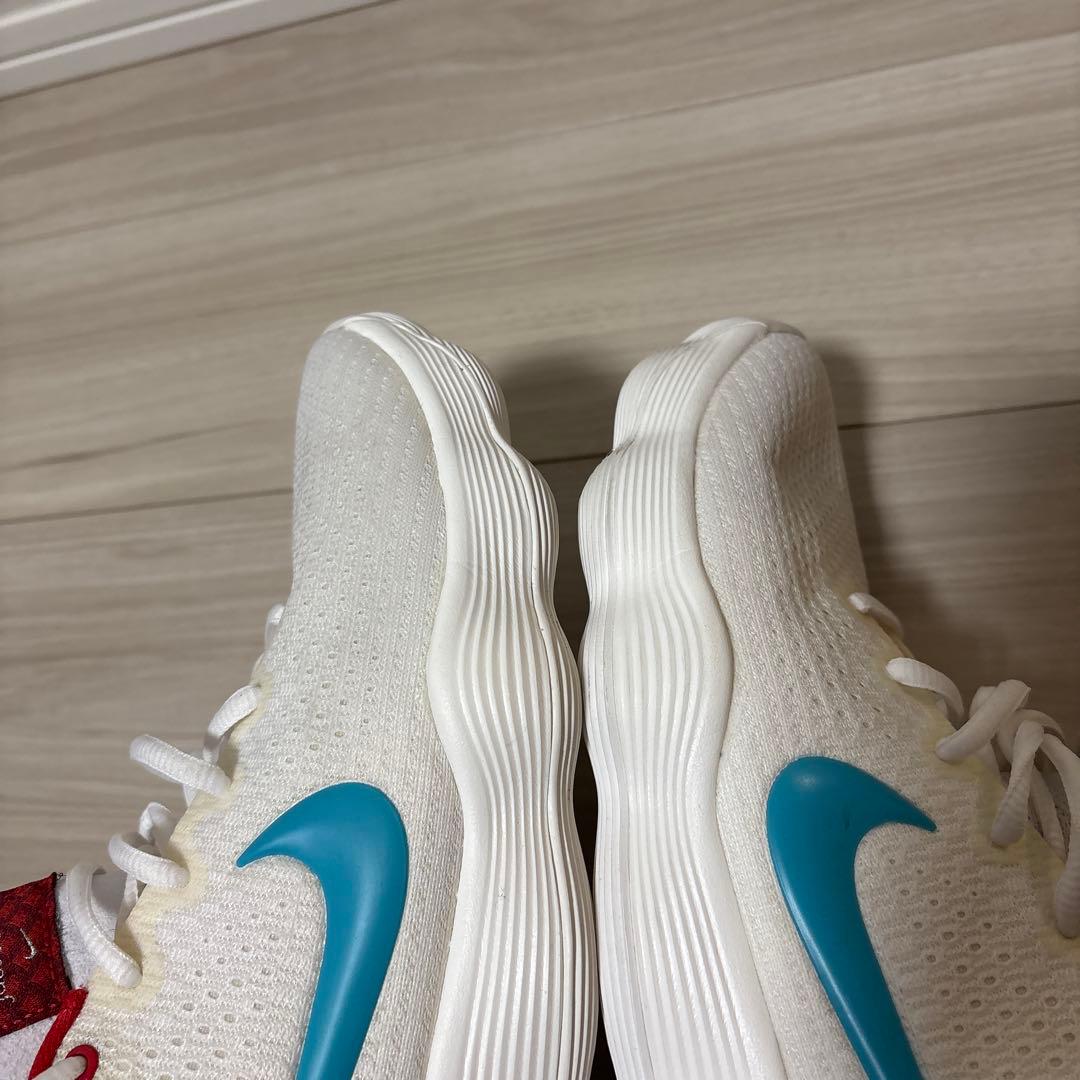 日本 未発売 28.0 NIKE ナイキ ハイパーダンクロー 2017 ドラゴン