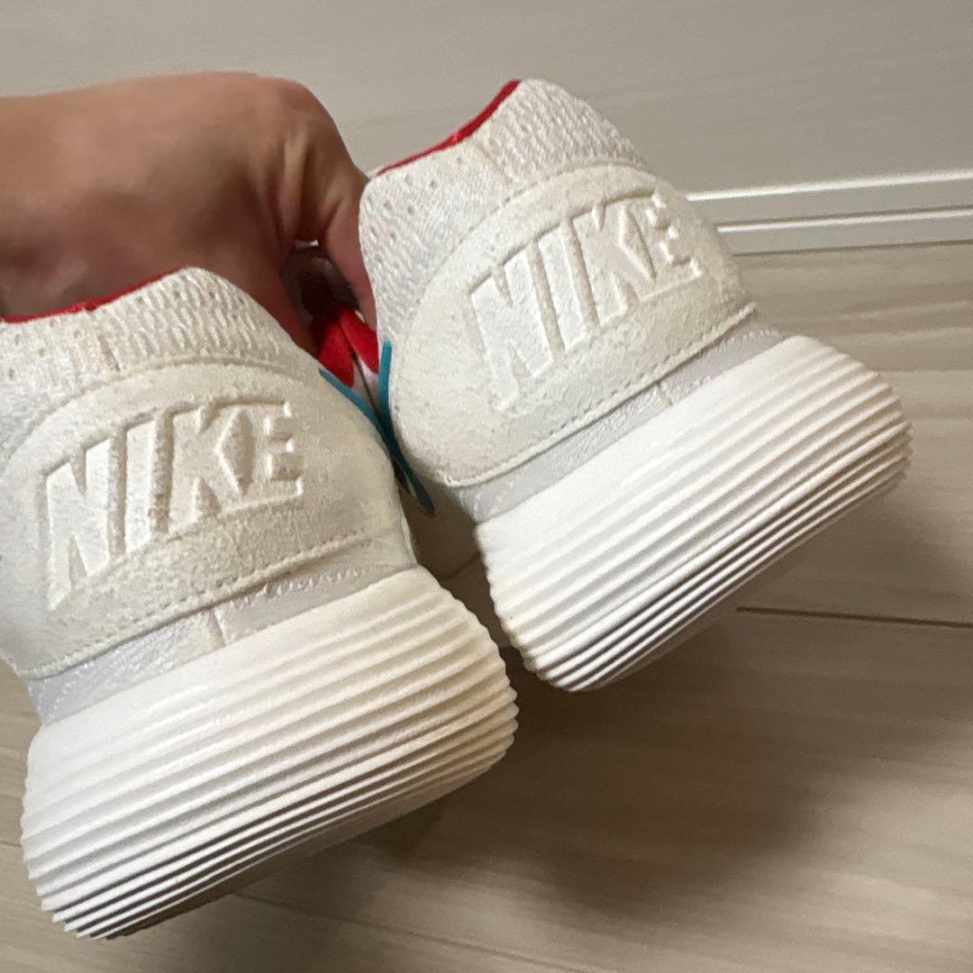 日本 未発売 28.0 NIKE ナイキ ハイパーダンクロー 2017 ドラゴン