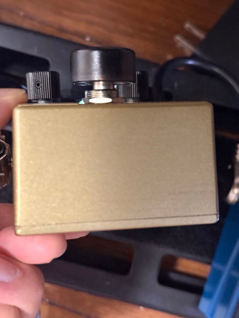 Walrus Audio Warhorn 付属品あり