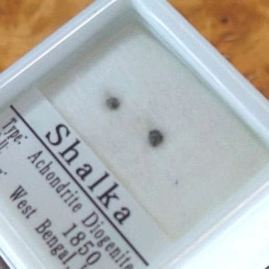 180年前のダイオジェナイト　シャルカ隕石　標本