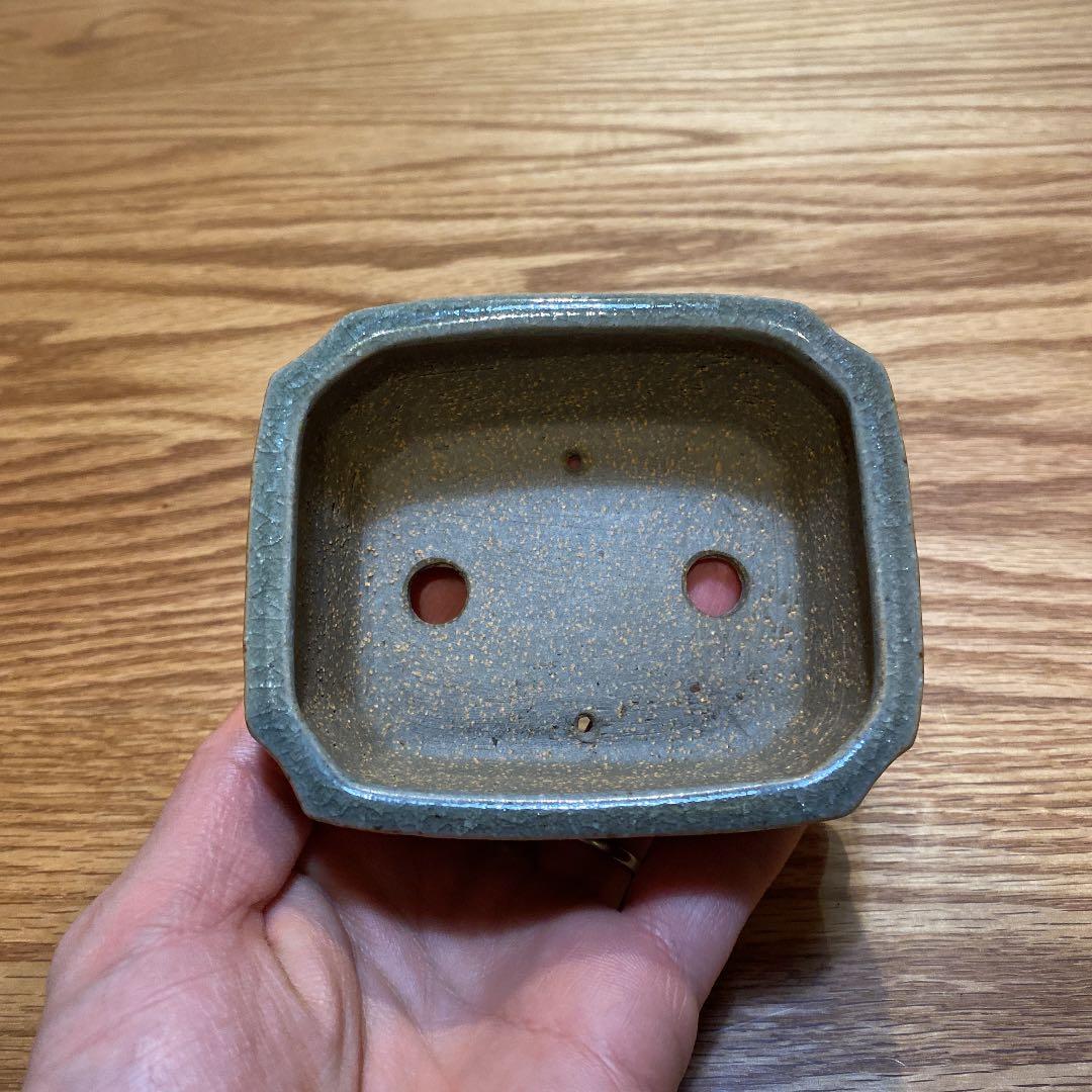 盆栽鉢　柴勝d