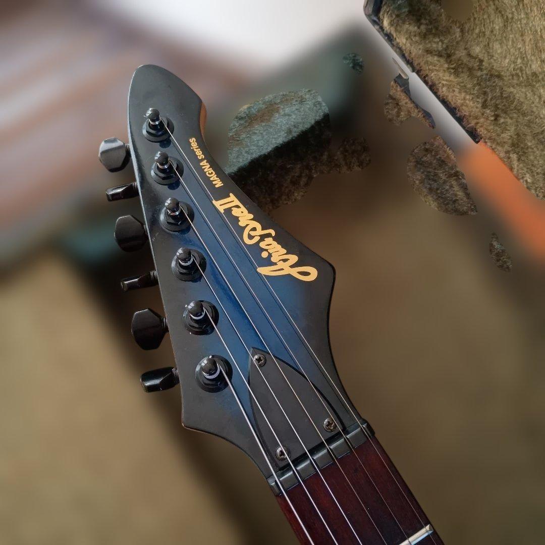 Aria ProⅡ アリアプロ2 MAGNA SERIES SSH