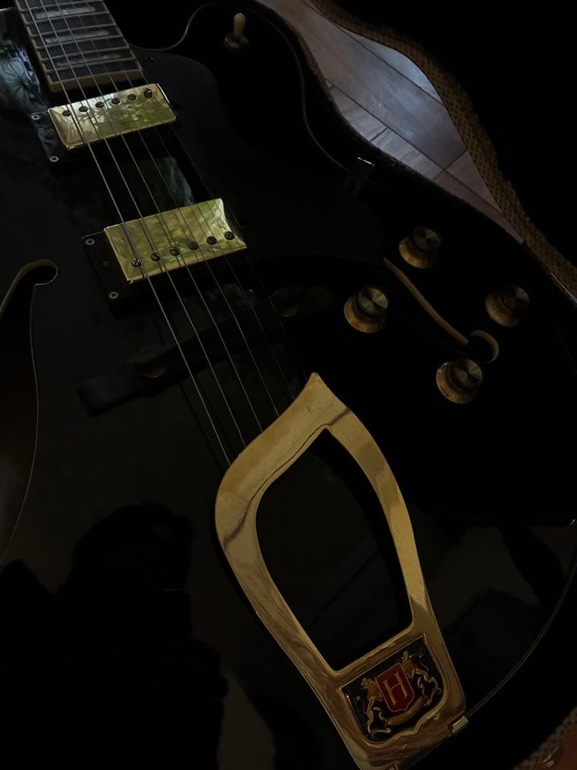 HAGSTROM HJ500 セミアコ ハードケース付 送料無料エレキギター