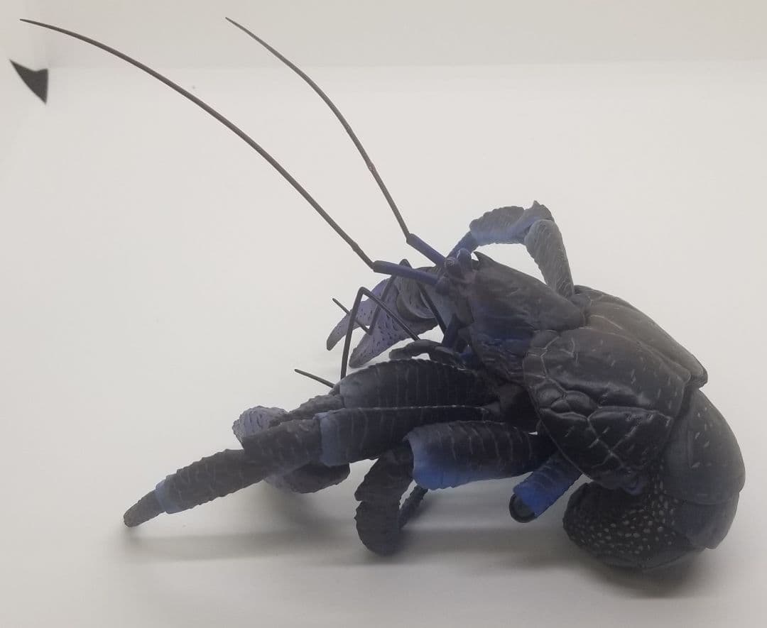 いきもの大図鑑プレミアム　ヤシガニ