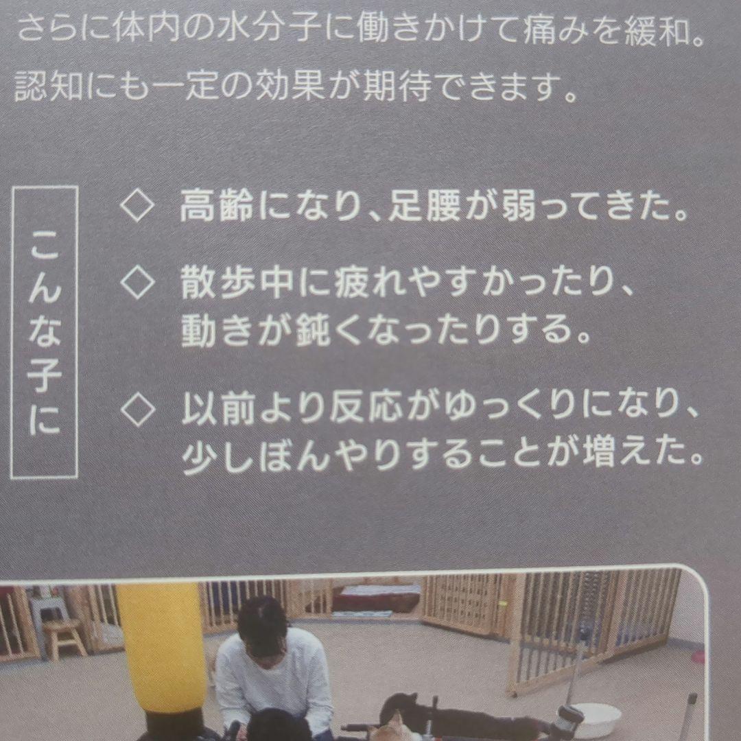 QB ケルスター for PET 量子波発生ボールネックレス 25cm
