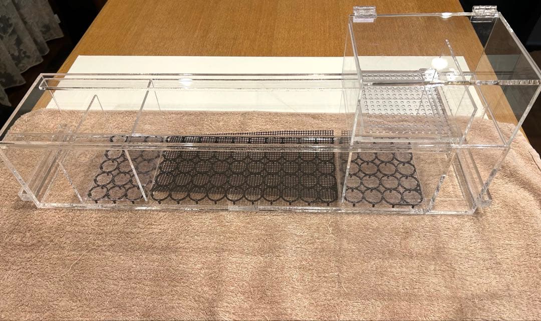 おしお