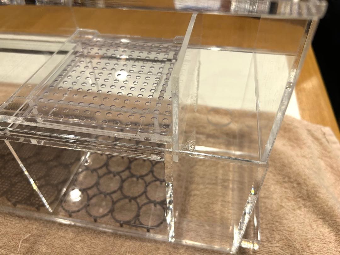 おしお