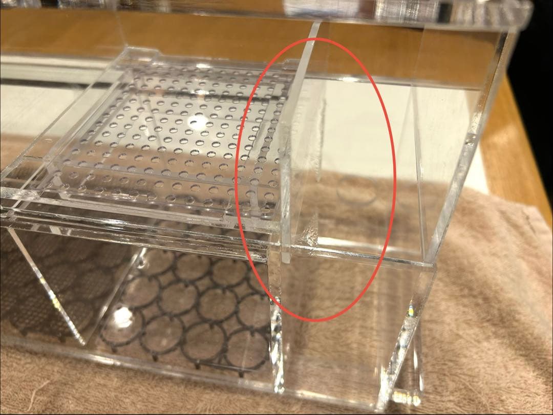 おしお