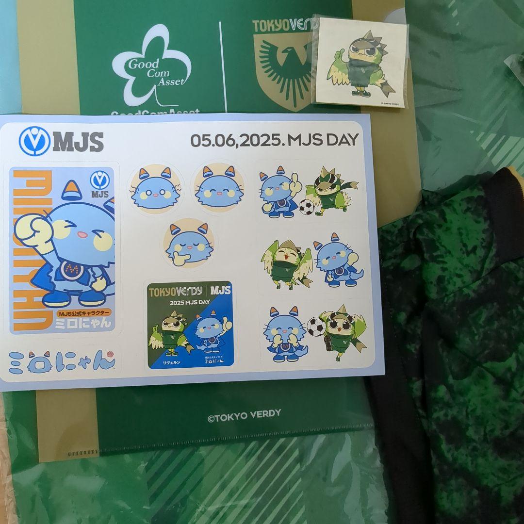 verdy プラクティスユニフォーム エコbagDentalDXStation