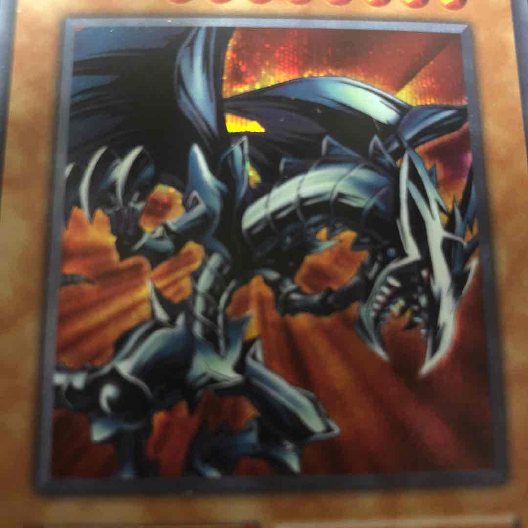 ローダー発送★遊戯王★レッドアイズ・ブラックメタルドラゴン★シク