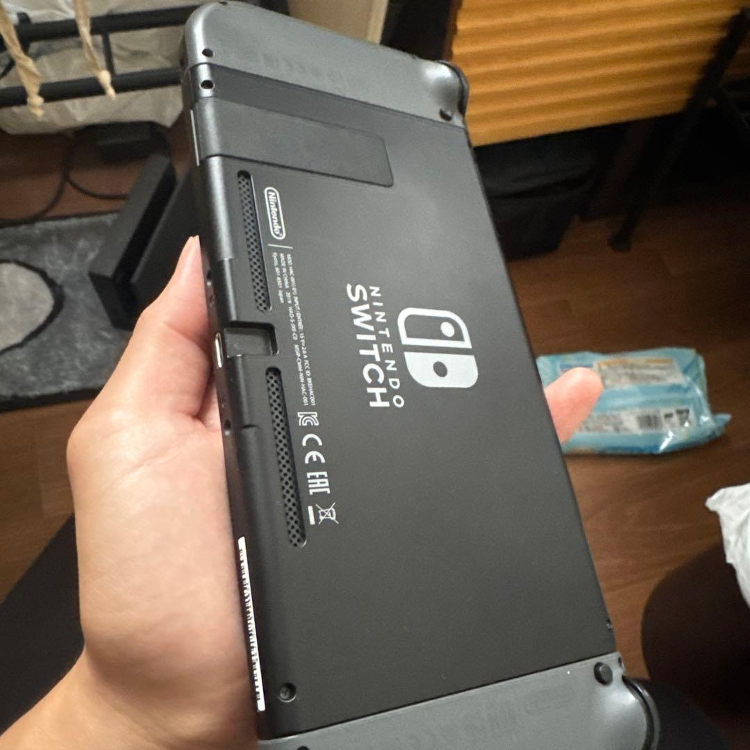 Nintendo Switch グレー 本体 ソフト付き