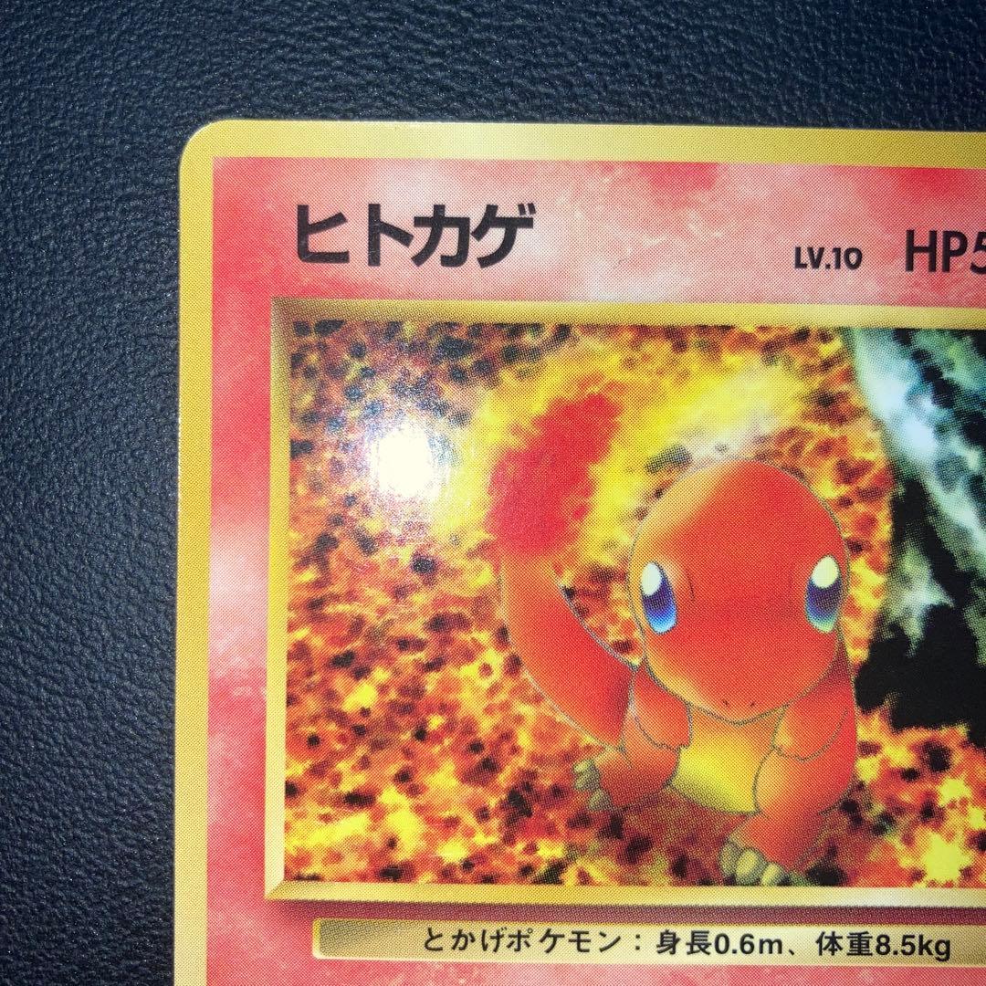 極美品　ヒトカゲ　旧裏　拡張シート