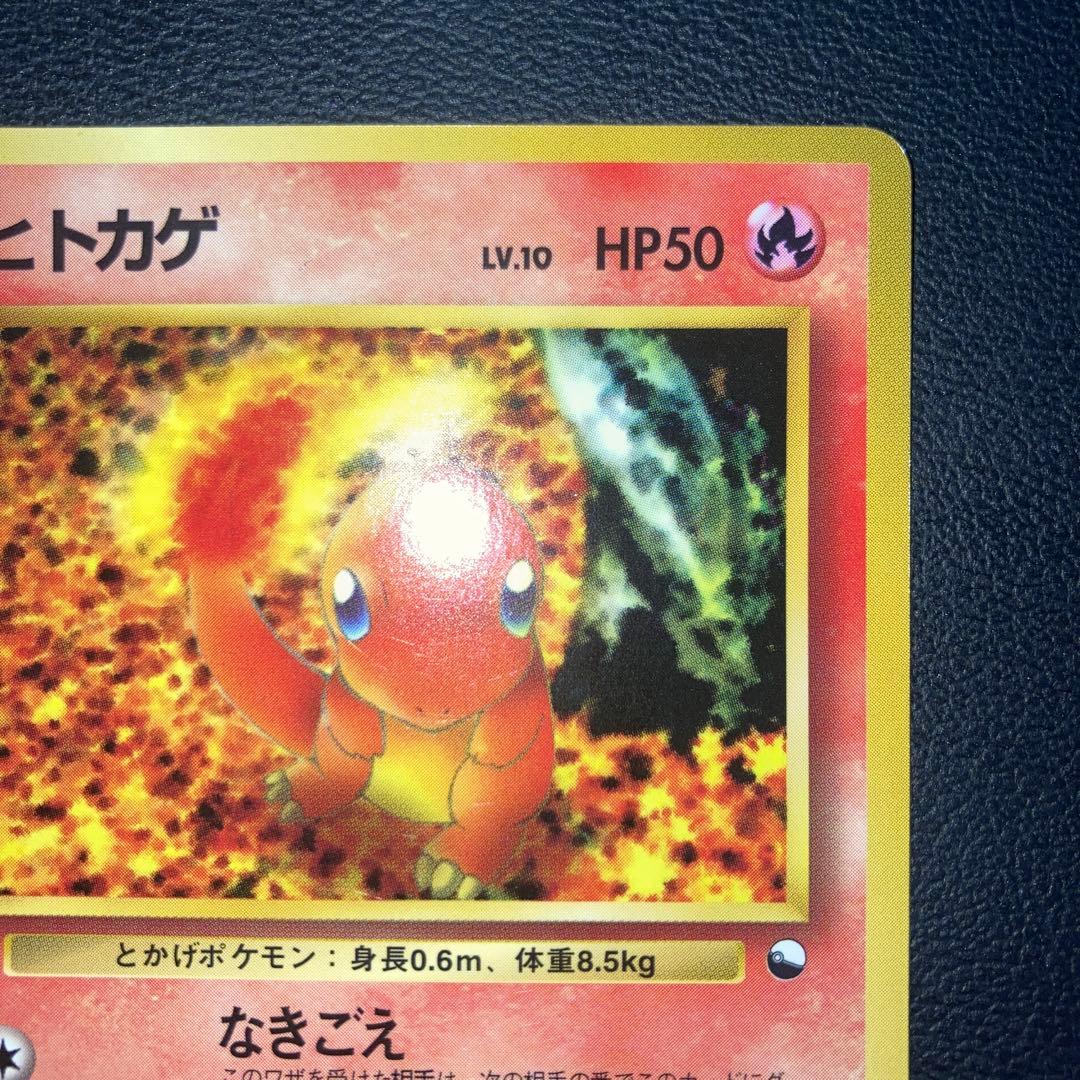 極美品　ヒトカゲ　旧裏　拡張シート