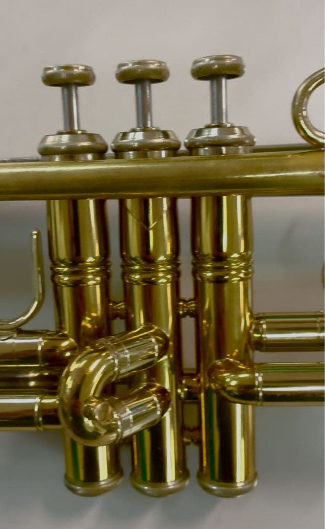 管楽器・吹奏楽器 Holton T101