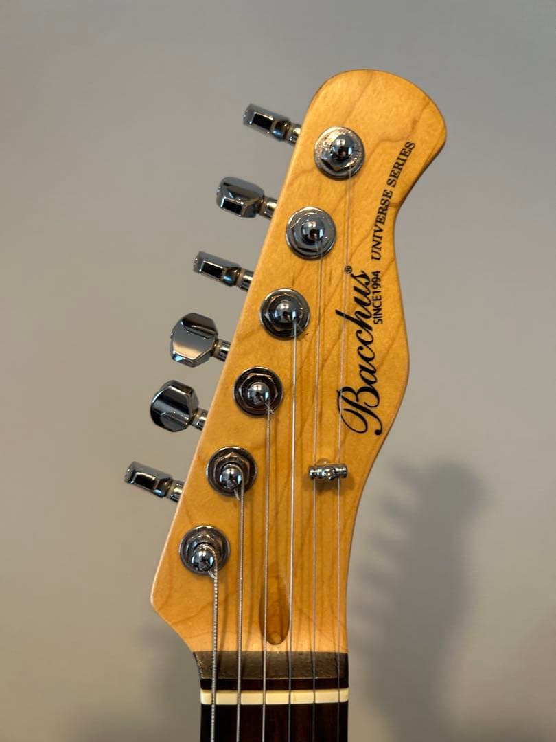 【値下げ可】Bacchus Telecaster BTC-1R
