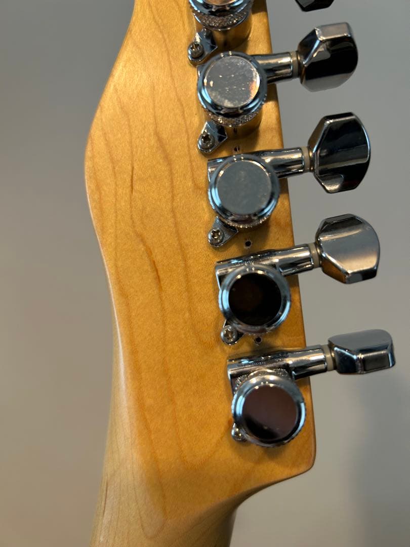 【値下げ可】Bacchus Telecaster BTC-1R