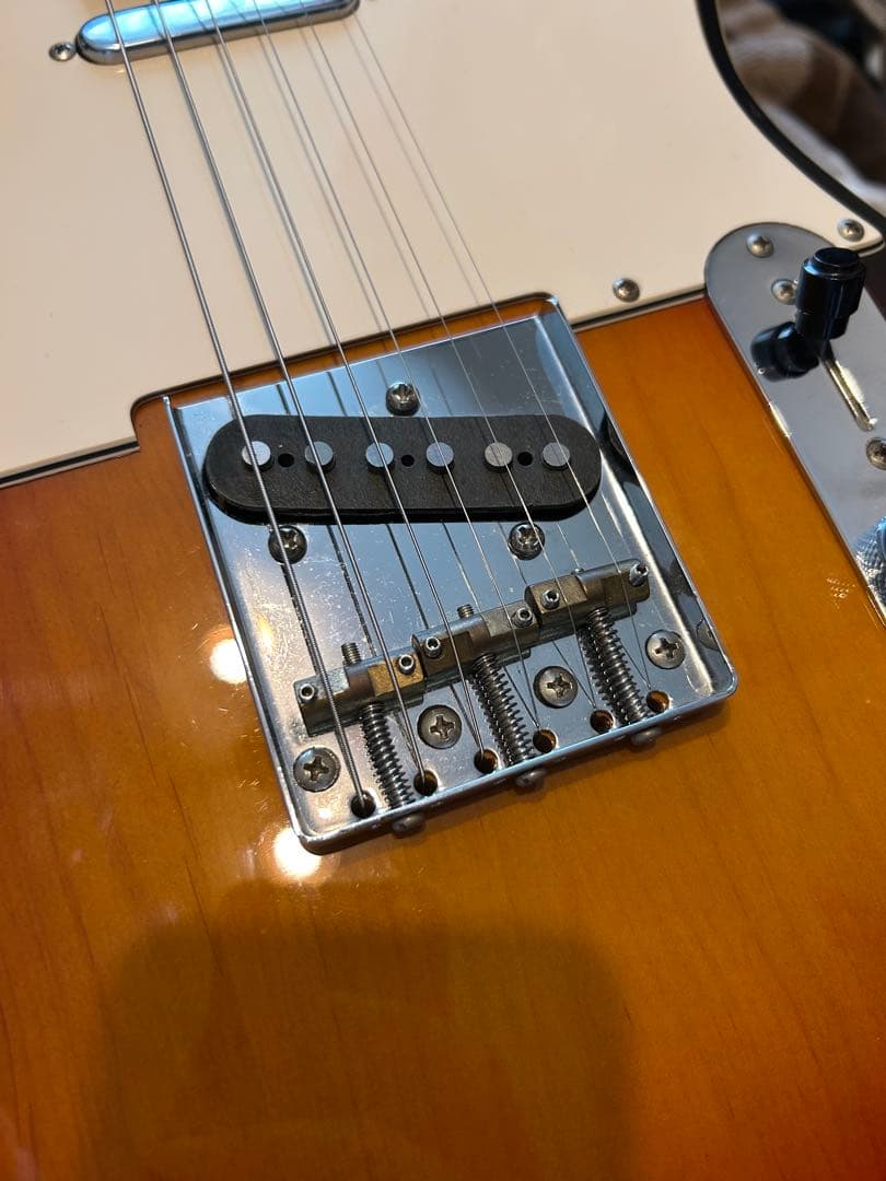 【値下げ可】Bacchus Telecaster BTC-1R