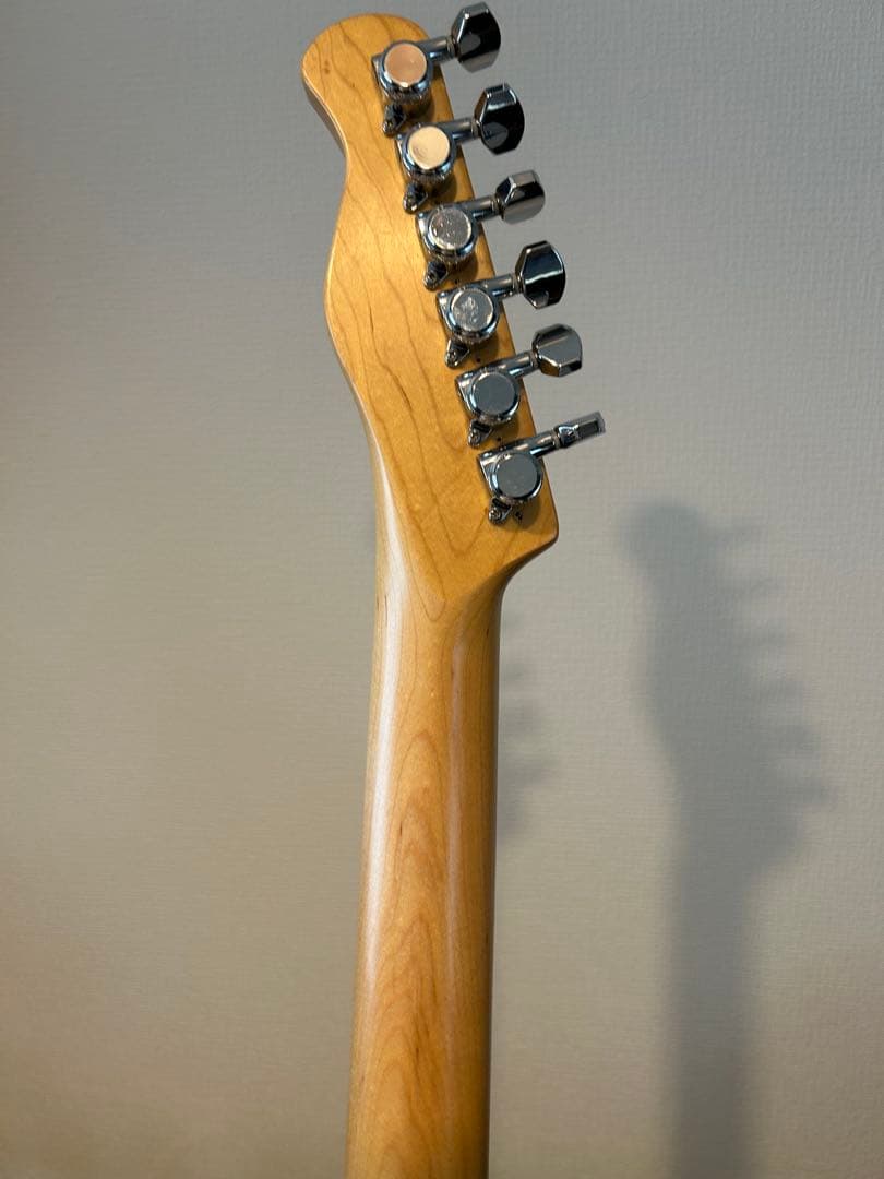 【値下げ可】Bacchus Telecaster BTC-1R