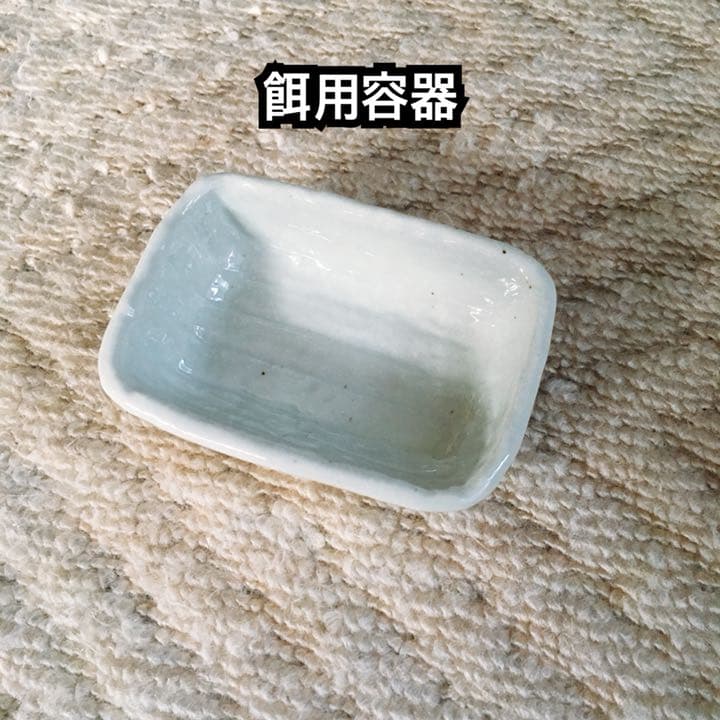 ハムスタースターターキット