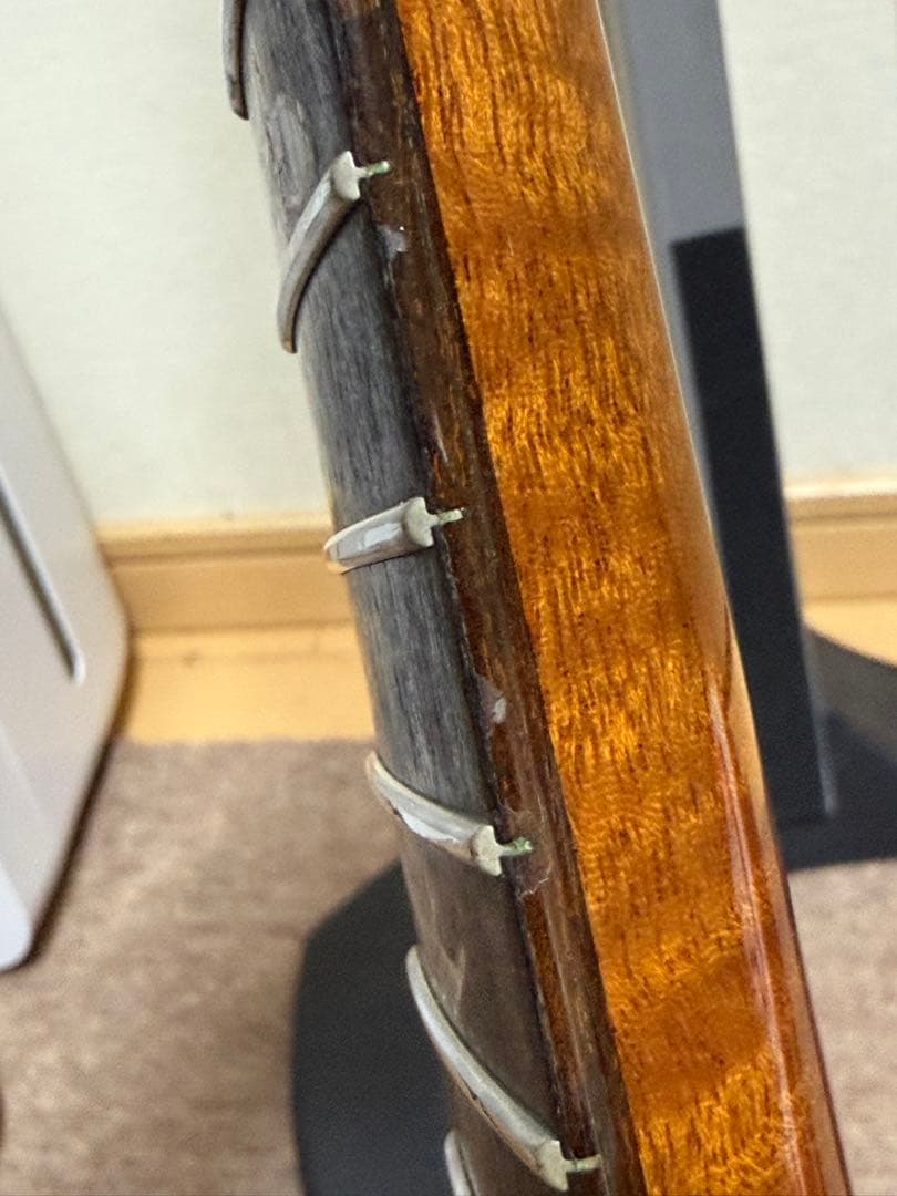 PRS FATBACK24 （custom24）