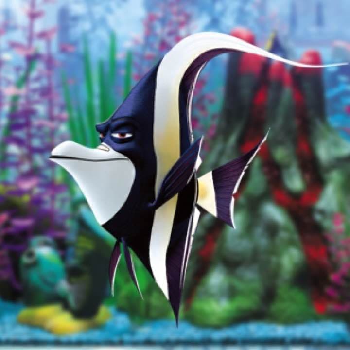 オーダー続き
